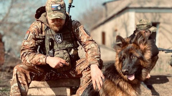 В Севастополе обучили подразделение военных кинологов для работы в зоне спецоперации