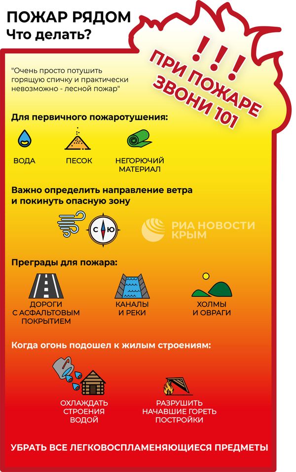 Как действовать при лесном пожаре. Инфографика