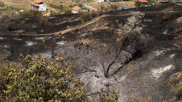 Тушение лесного пожара на Карадаге Тушение лесного пожара на Карадаге