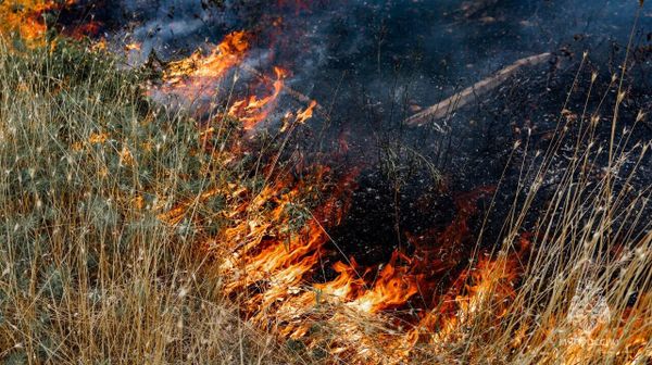 В Севастополе тушат пожар площадью 9 гектаров