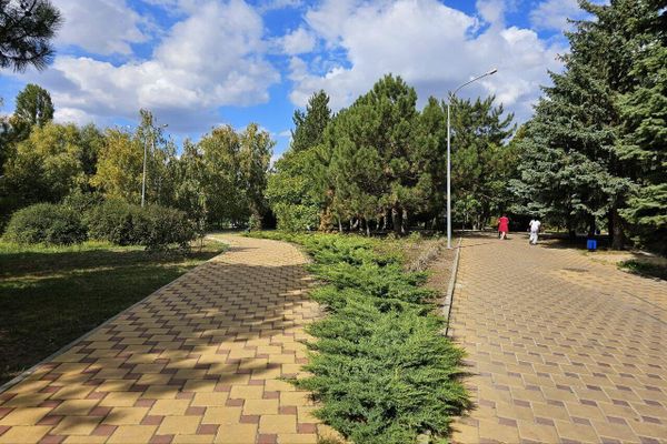 Благоустройство территории в Республиканской детской клинической больнице в Симферополе