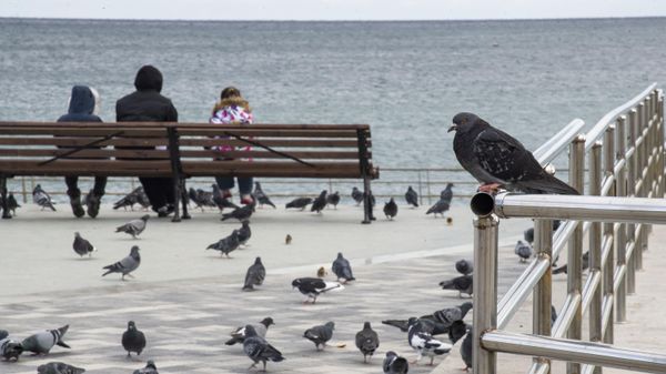 Осень в Алуште