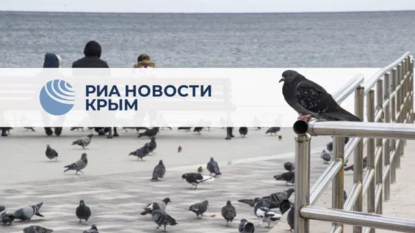 Главное за день