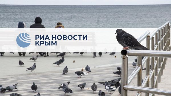 Главное за день