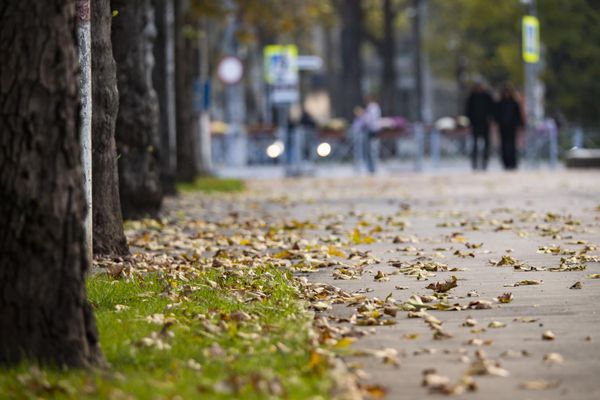 Осень в Симферополе Осень в Симферополе