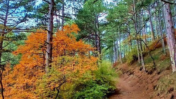 Осень в Крыму