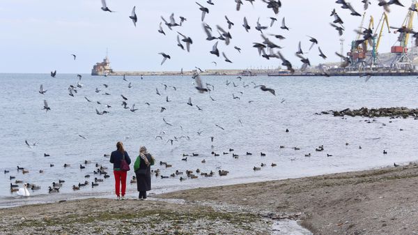 Осень в Феодосии