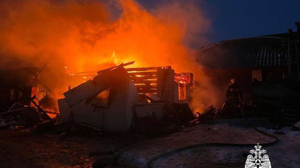 В Тверской области на пожаре погиб годовалый ребенок