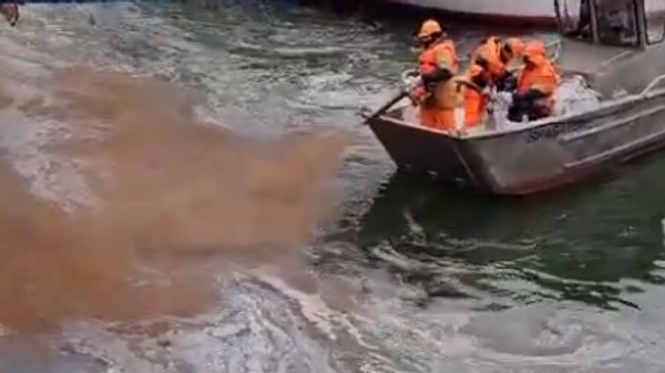 В водах Дона нашли растворитель лакокрасочных изделий для покраски судов В водах Дона нашли растворитель лакокрасочных изделий для покраски судов