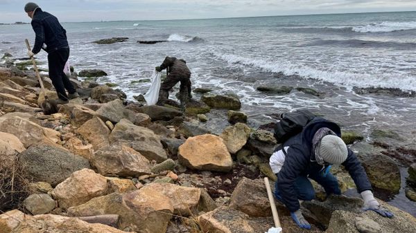 Уборка мазута в Черноморском районе Крыма Уборка мазута в Черноморском районе Крыма