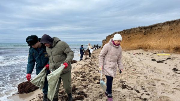 Уборка мазута в Черноморском районе Крыма Уборка мазута в Черноморском районе Крыма