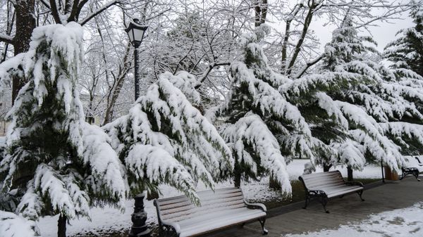 Снег в Симферополе