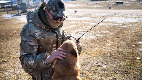 Подготовка контрактников в ВС РФ