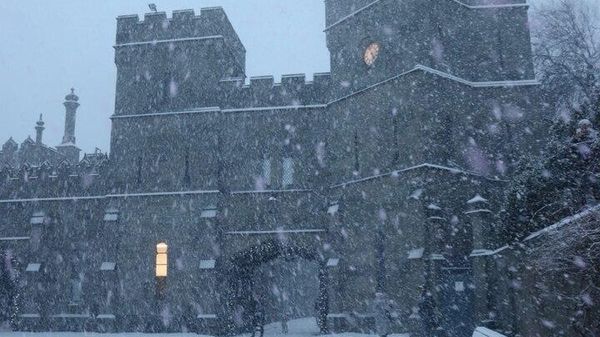 Алупкинский дворцово-парковый музей-заповедник зимой