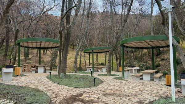 Милютинский парк в Ялте