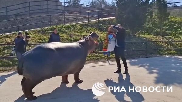 Чучело Зимы отдали на съедение бегемоту в зоопарке Бахчисарайского парка миниатюр