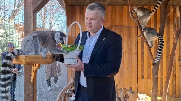 В Бахчисарайском парке миниатюр поздравили питомцев с 8 марта
