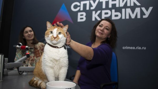 Открытие обновлённой студии радио Спутник в Крыму