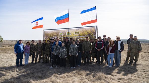 Посадка крымской сосны в Белогорском районе Крыма