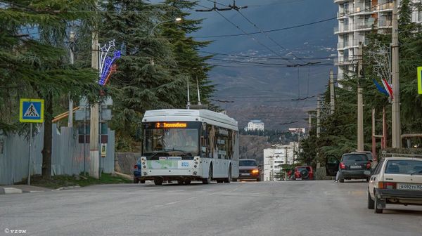 Троллейбуса №2 из Алушты в Профессорский уголок