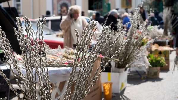 Вербное воскресенье в Симферополе