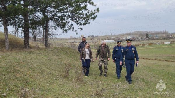 Работа межведомственной группы МЧС России в рамках подготовки к пожароопасному сезону