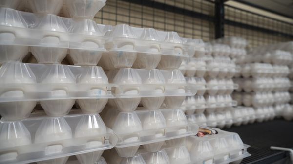 Мониторинг цен на продукты в Крыму