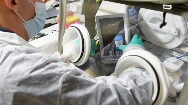 Диагностика инфекционных заболеваний человека в совместной мобильной лаборатории 