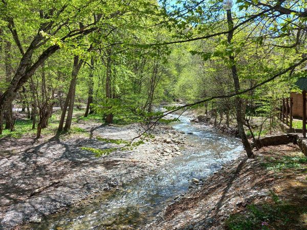 Река Альма берет начало в горах Крыма Река Альма берет начало в горах Крыма