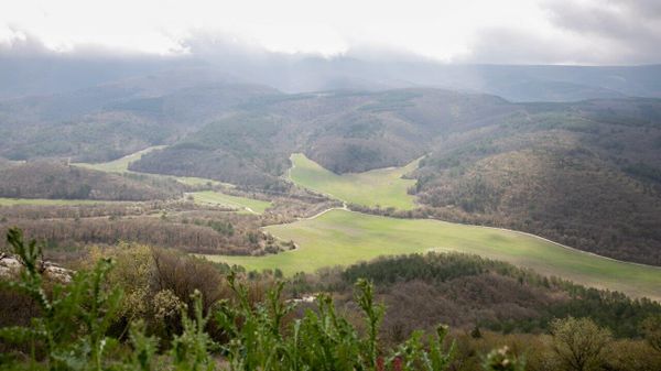 Заповедники Крыма