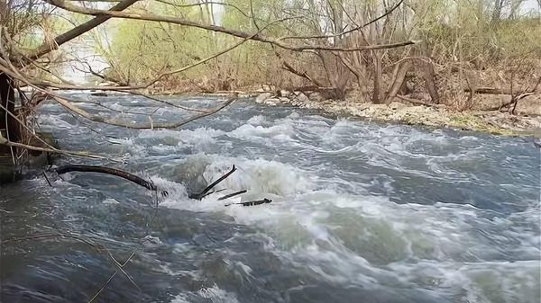 Река Лаба в Краснодарском крае