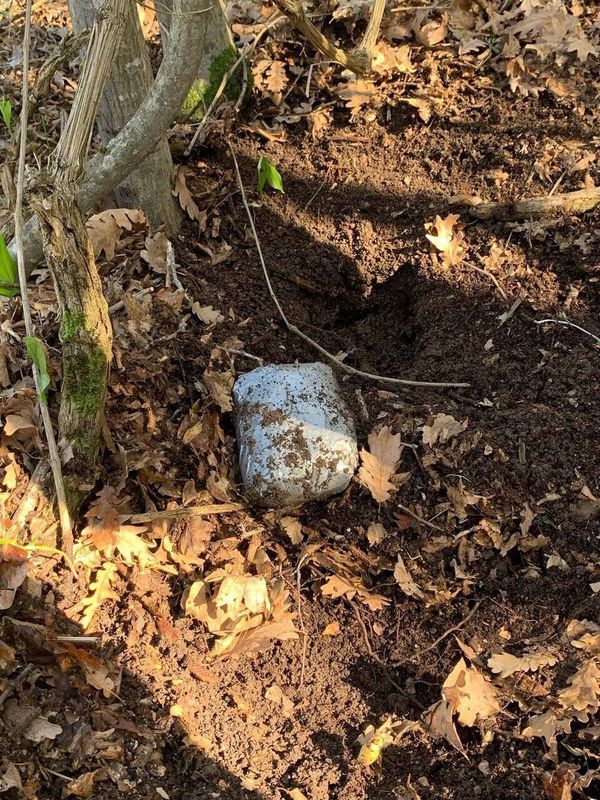 В Севастополе задержали девушку-наркокурьера