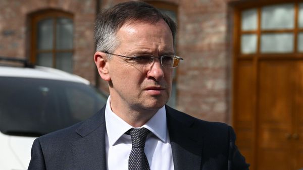 Помощник президента РФ Владимир Мединский