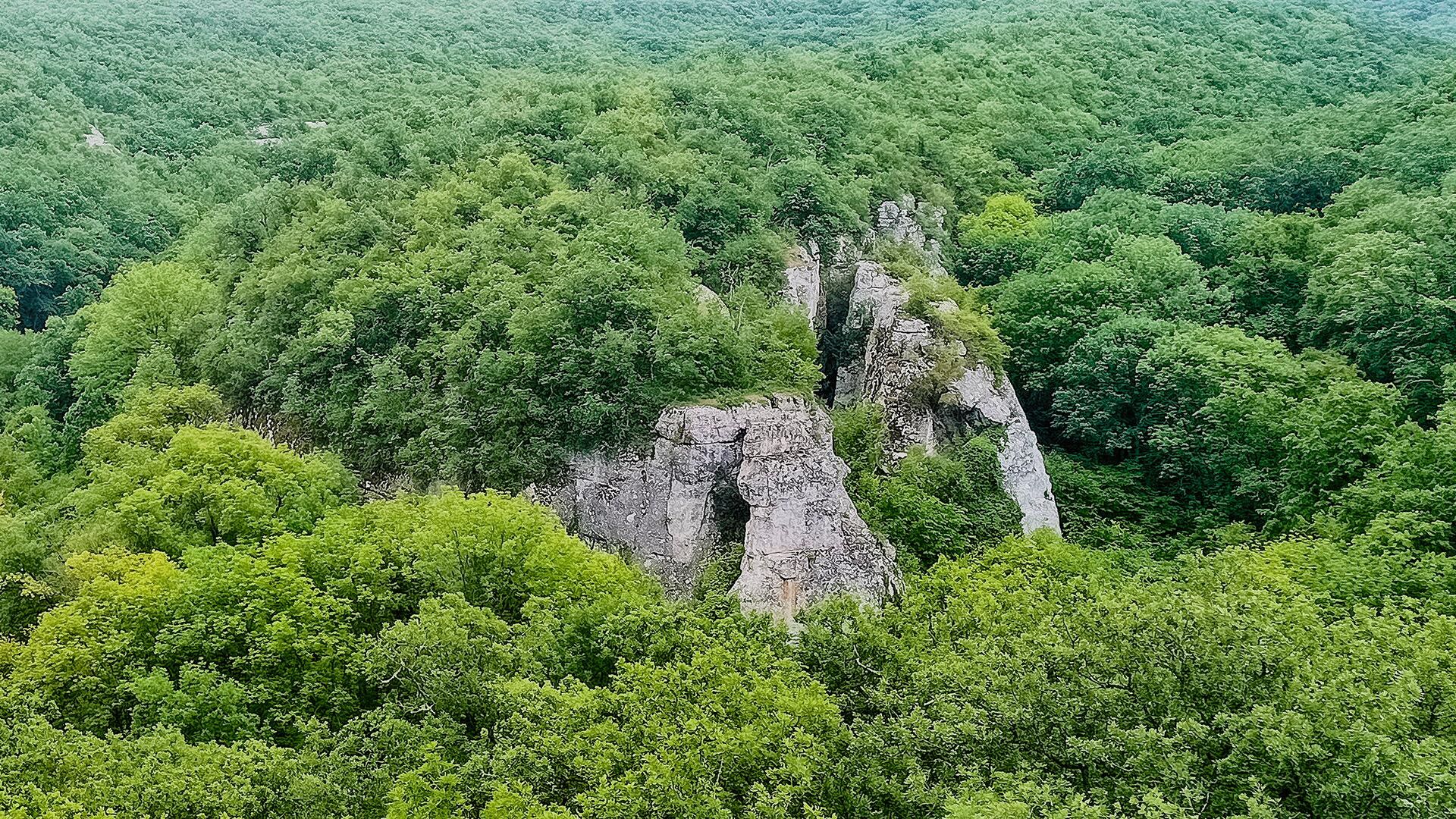 Алимова Балка в Крыму - РИА Новости, 1920, 09.06.2025