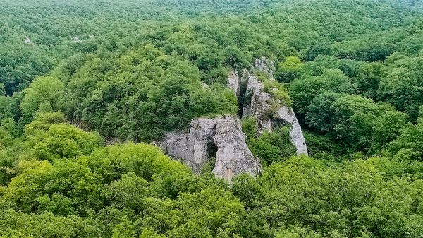 Алимова Балка в Крыму