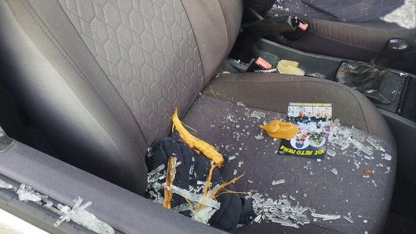 В Феодосии водитель автомобиля пострадал при ударе молнии в дерево у дороги В Феодосии водитель автомобиля пострадал при ударе молнии в дерево у дороги