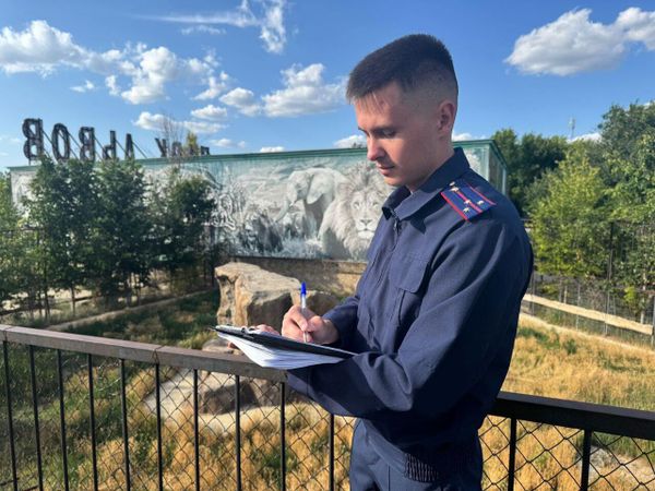 Следователь работает в парке львов Тайган после нападения льва на Олега Зубкова