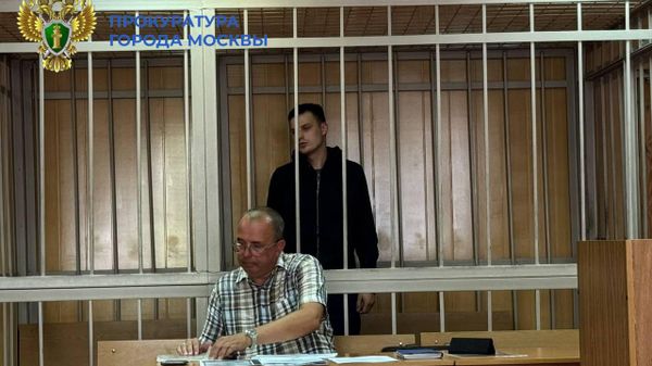 В Москве арестовали сбившего пять человек на переходе водителя