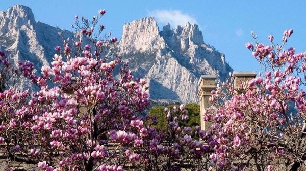 Алупка