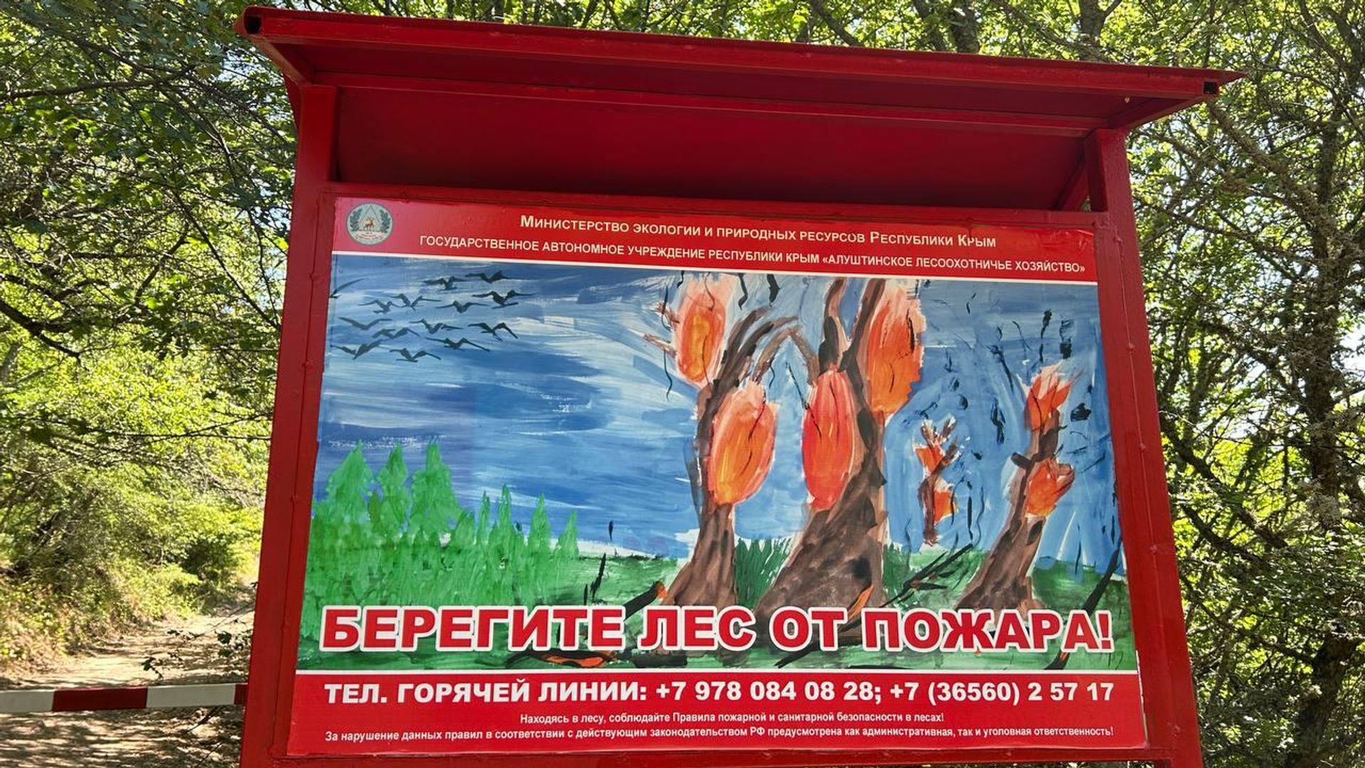 Пожароопасный период - РИА Новости, 1920, 28.07.2025
