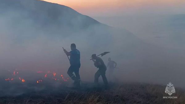 В районе поселка Орджоникидзе в Крыму потушили лесной пожар на площади 5 тысяч квадратов В районе поселка Орджоникидзе в Крыму потушили лесной пожар на площади 5 тысяч квадратов