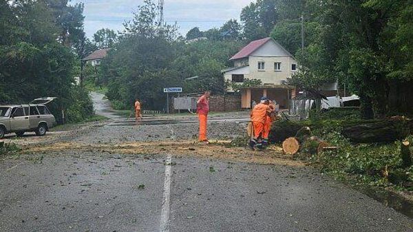 Последствия непогоды в Сочи