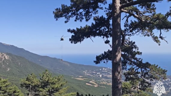 Пожар в Ялтинском горно-лесном заповеднике в Крыму