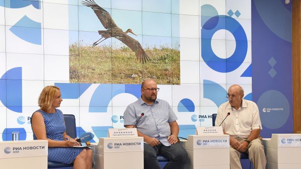 Пресс-конференция Защита и спасение краснокнижных видов птиц на полуострове