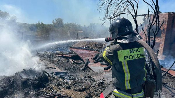 В Севастополе потушили пожар в СНТ