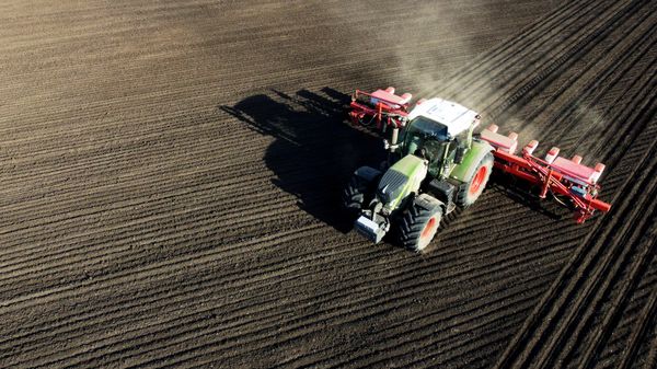 Старт сева кукурузы в Ростовской области