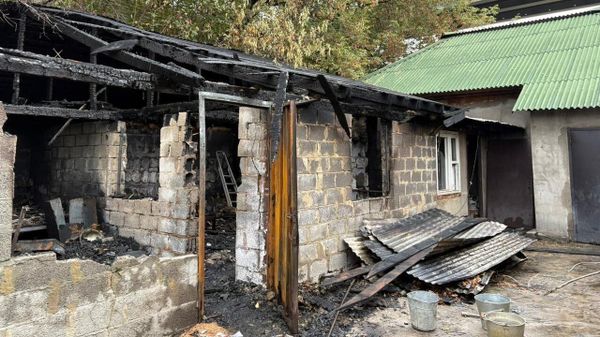 Пожар в приюте для животных в Москве