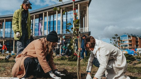 Зеленый фестиваль не территории арт-кластера Таврида