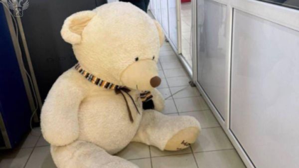 Таможенники в Адлере обнаружили 250 пачек сигарет в плюшевом медведе 
