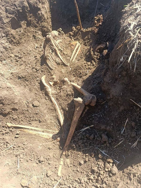 Находки поисковиков в Керчи
